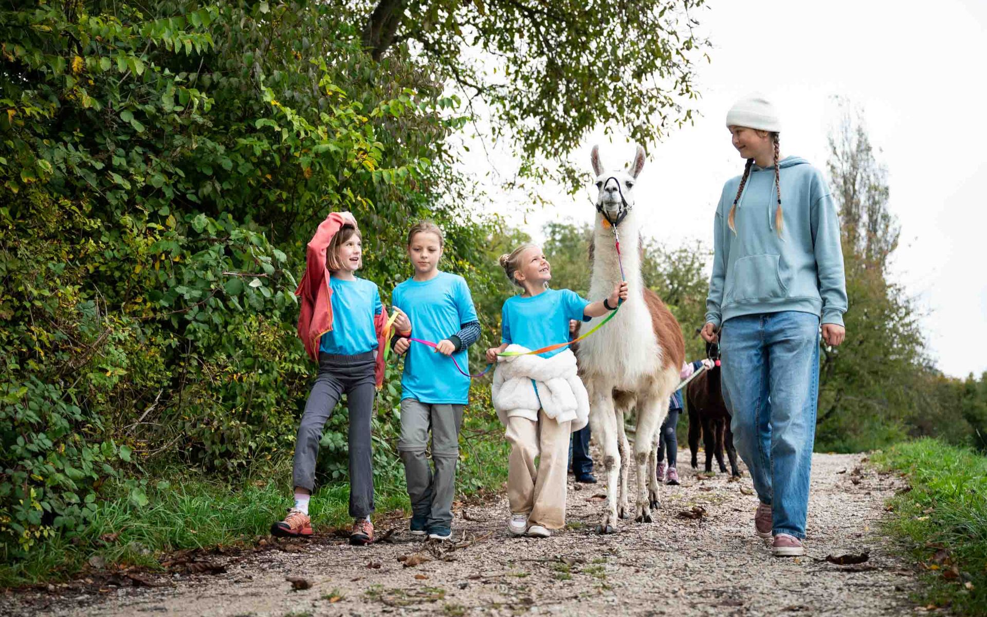 Holiday Camp programme