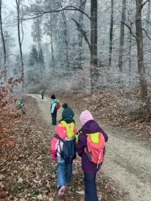 Learning in Action, January 2026