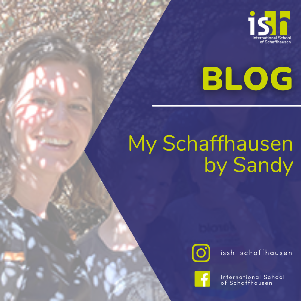My Schaffhausen by Sandy