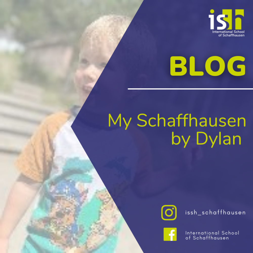 My Schaffhausen by Dylan