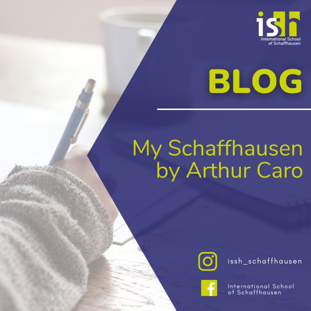 My Schaffhausen by Arthur Caro
