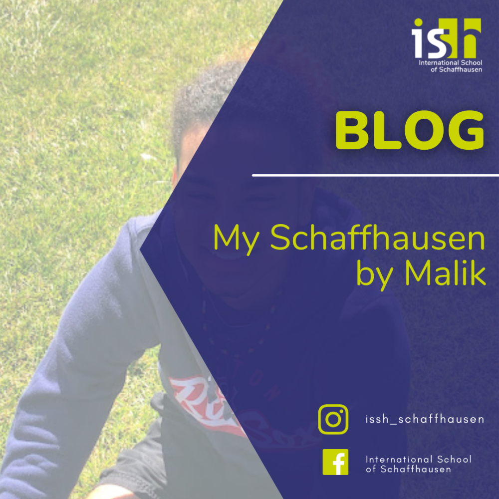 My Schaffhausen by Malik