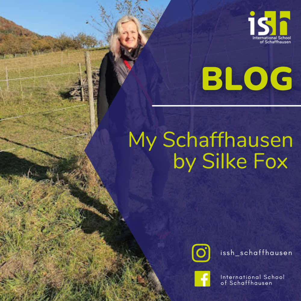 My Schaffhausen by Silke Fox
