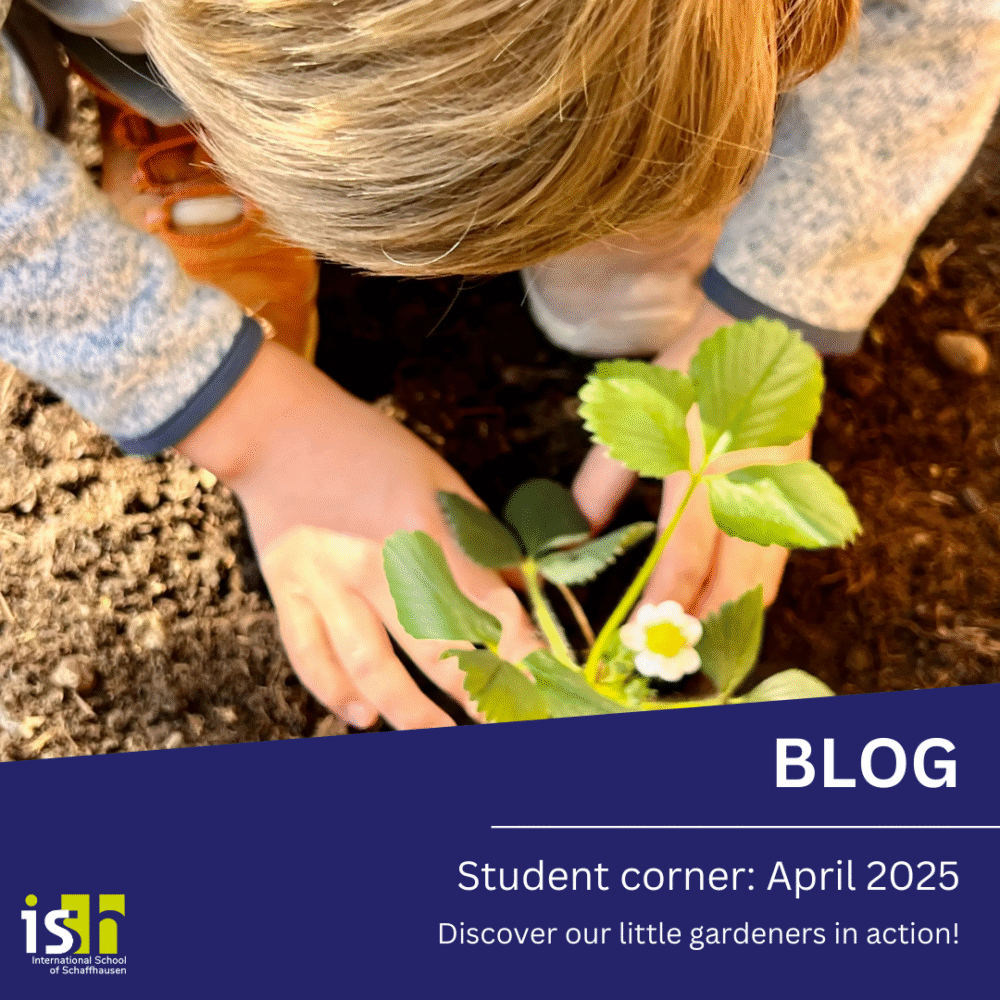 Student corner, April 2025: Discover our little gardeners in action!